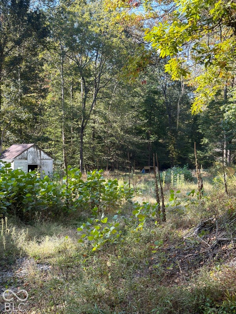 Photo for 8942 Bean Blossom Road