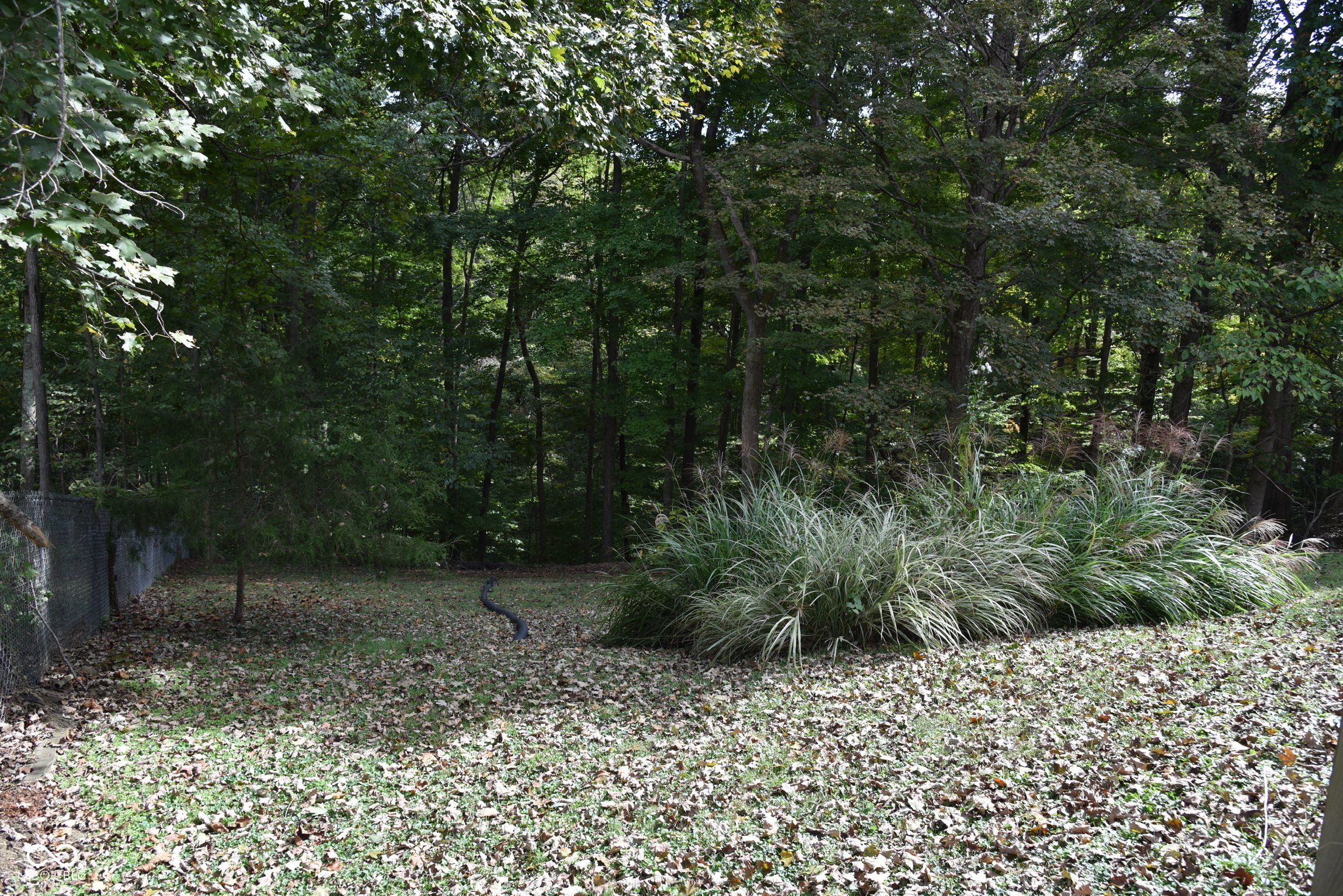 7155 S Shields Ridge Road