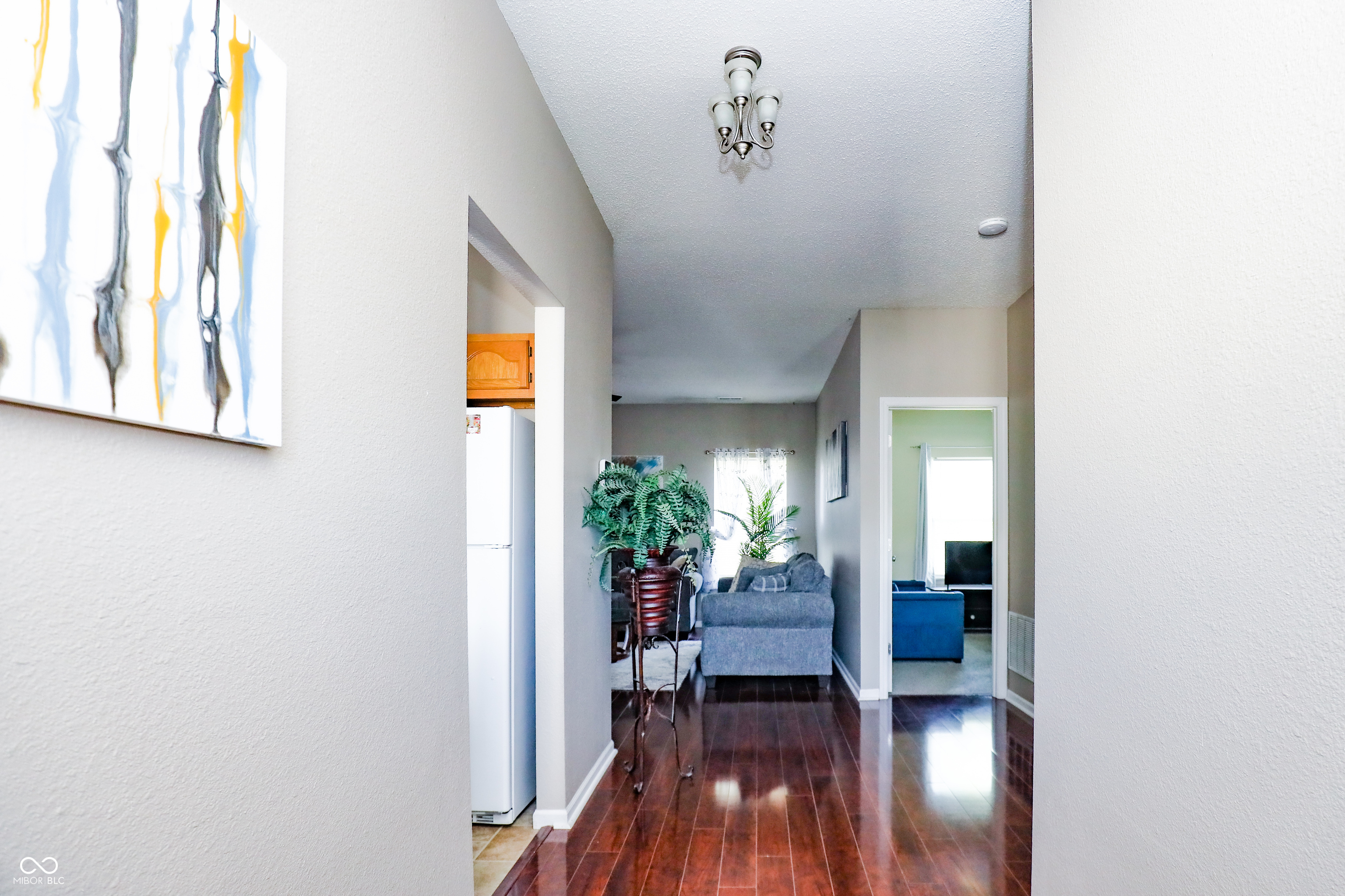 12289 Wolf Run Road