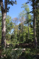 Tract 10   7530 W Private Road 775 S property photo