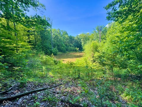 Photo for 5578 E Nebo Country Drive