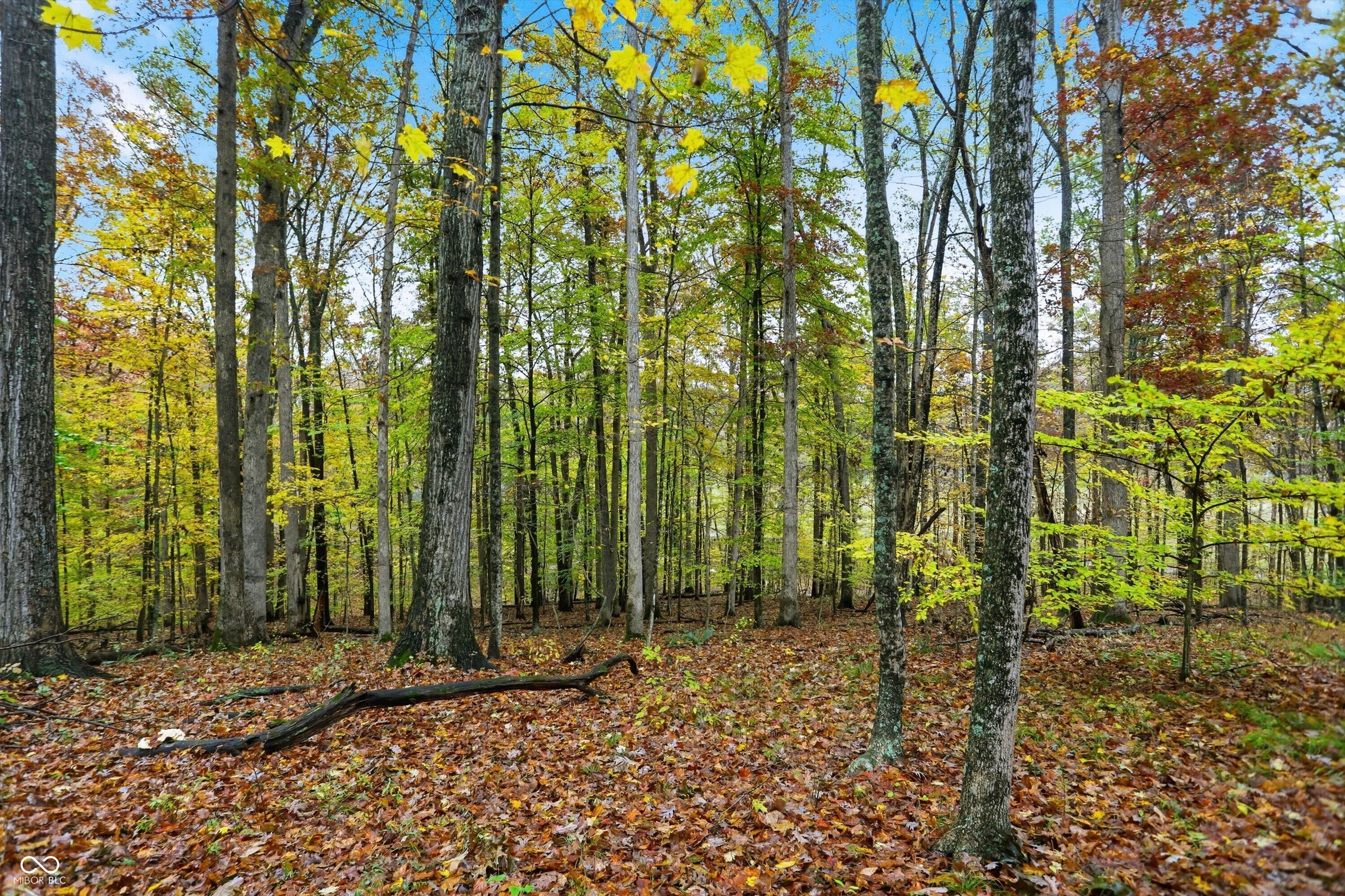 Lot 20 Ridgeway Drive