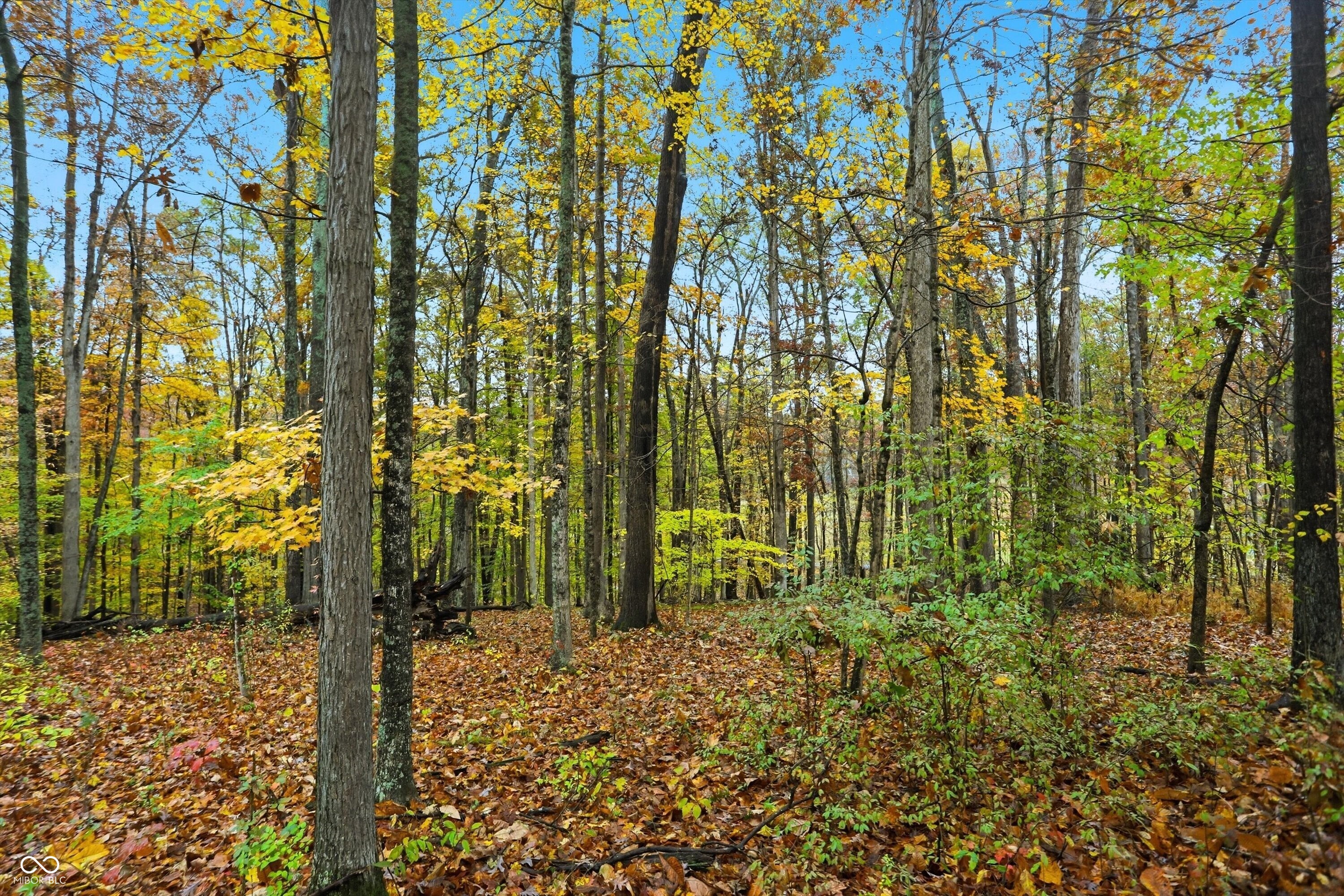 Lot 20 Ridgeway Drive