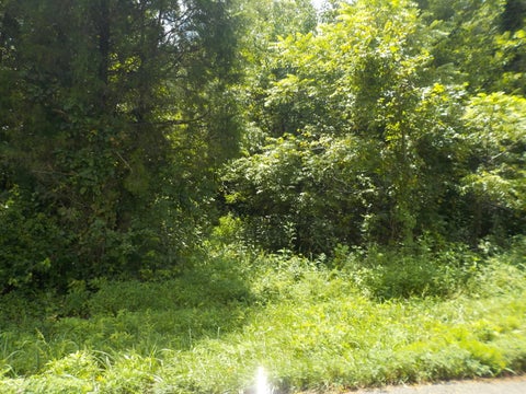 Photo for 0 E County Rd 475 Road S