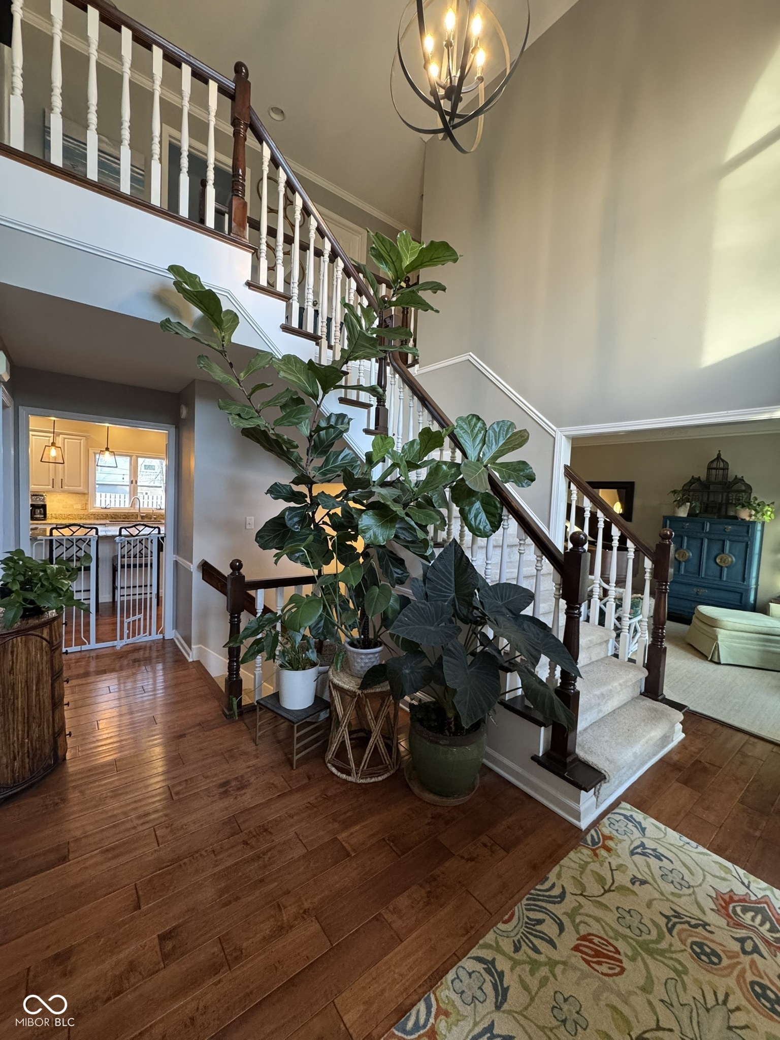 5776 Gyrfalcon Place