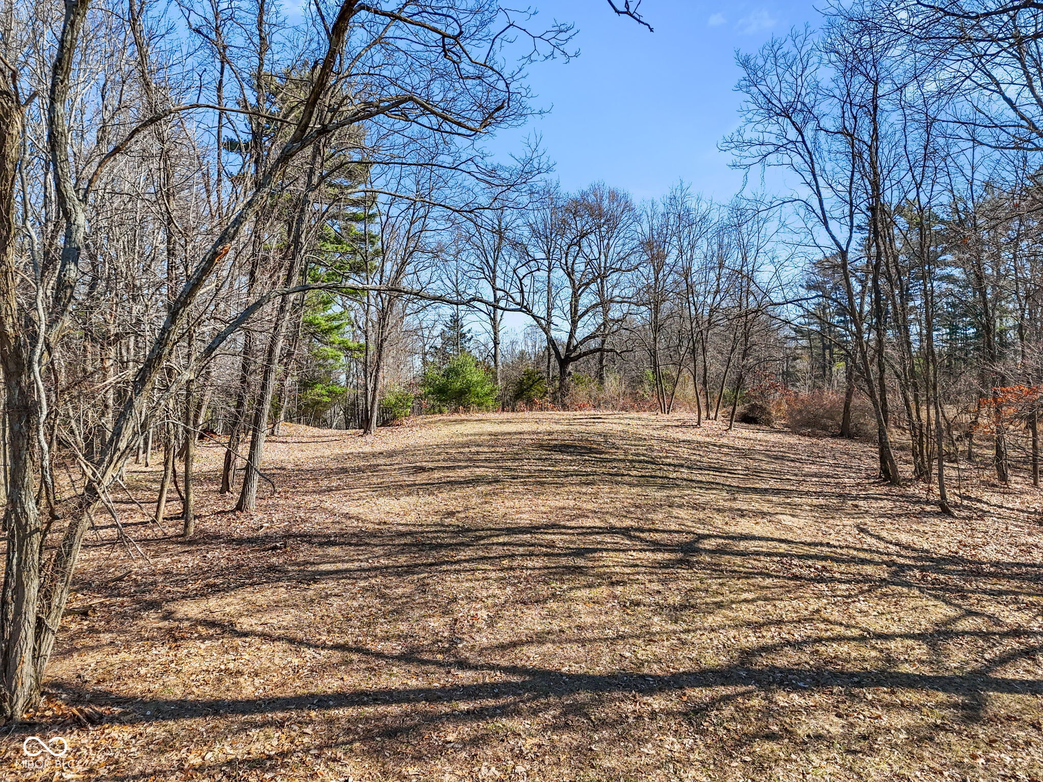 1867 Dynasty Ridge Road