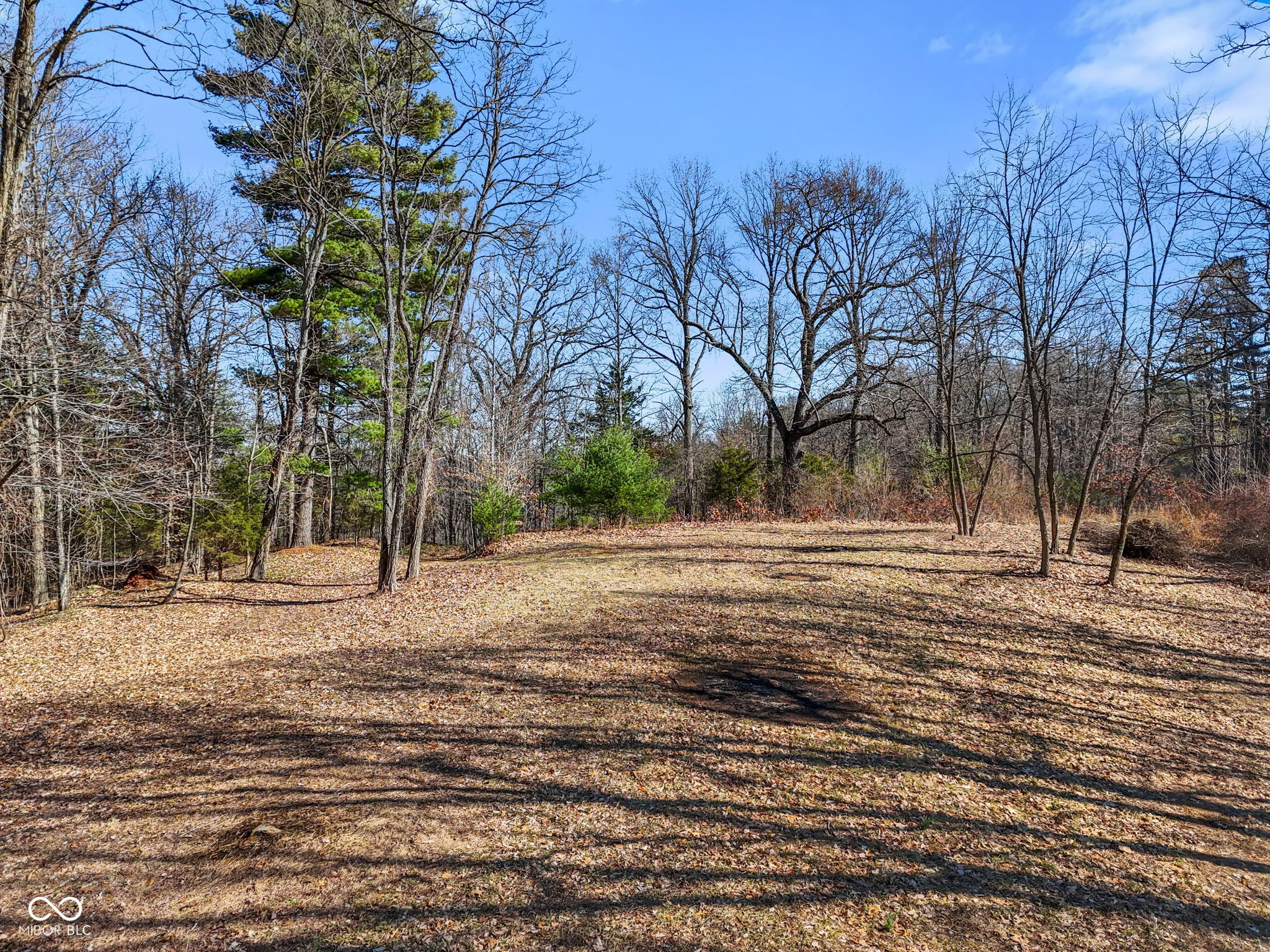 1867 Dynasty Ridge Road