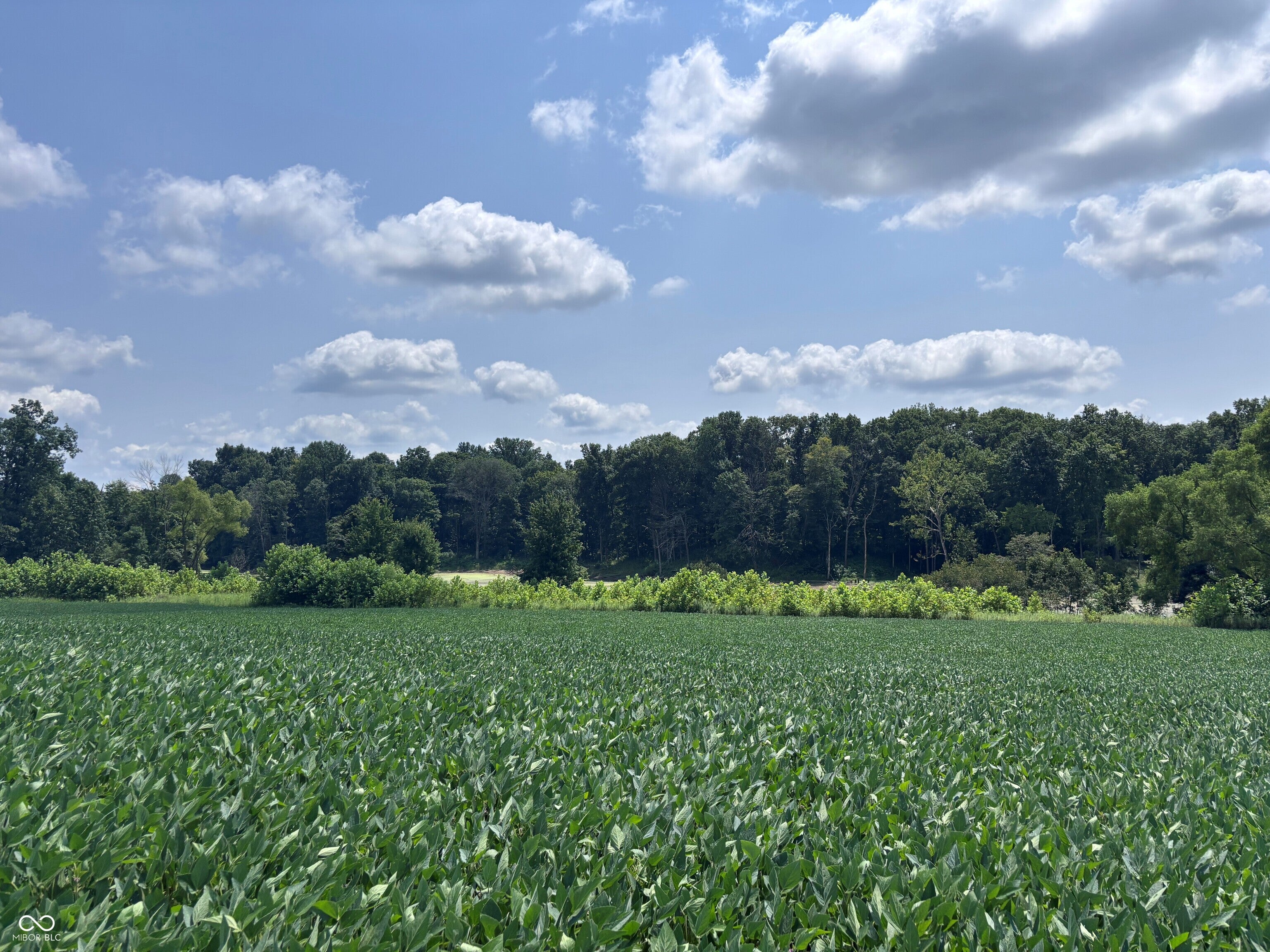 4436 E County Road 1050 N