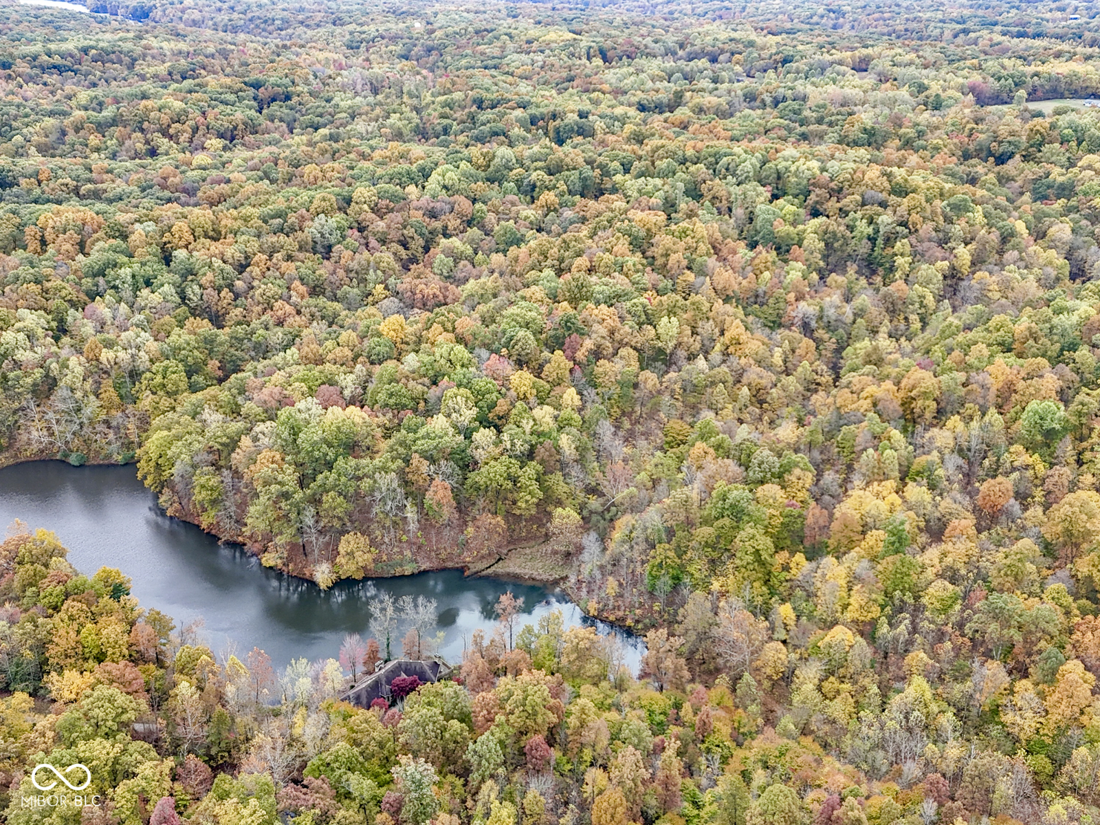 6949 Beech Tree Road