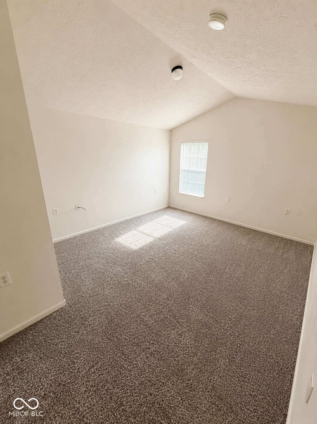 3012 Wildcat Lane