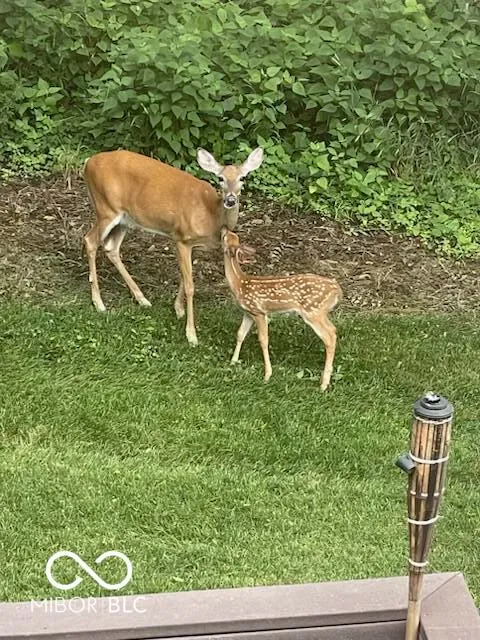 McCordsville, Indiana 46055, United States, 5 Bedrooms Bedrooms, ,4 BathroomsBathrooms,Residential,Pending,85859