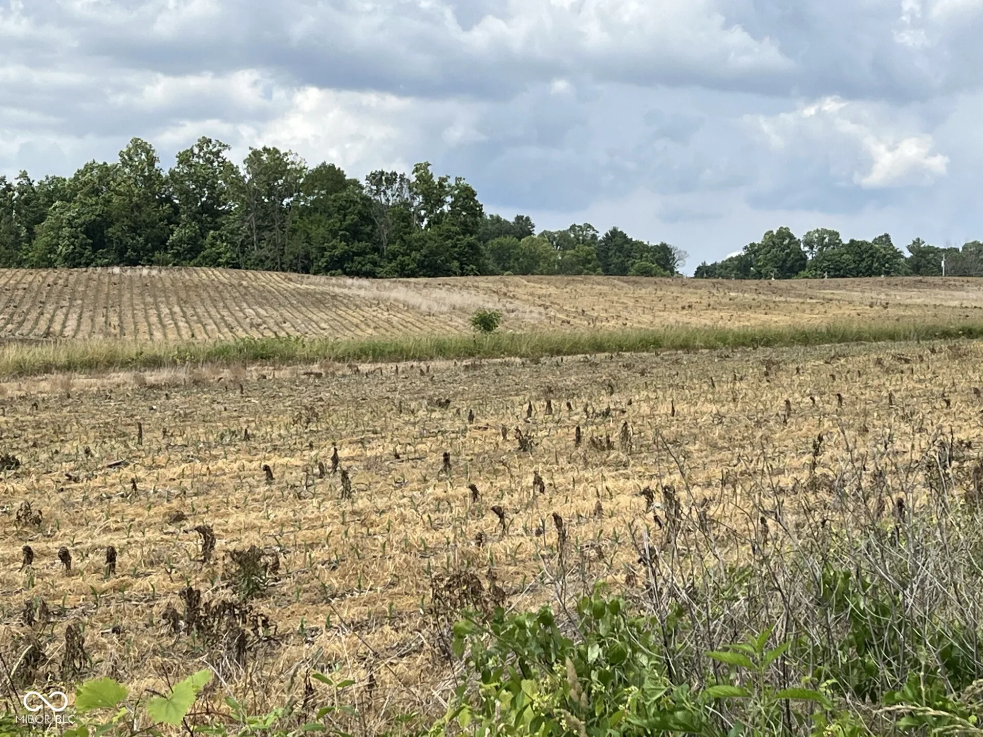 Brownstown, Indiana 47220, United States, ,Residential,Active,55897