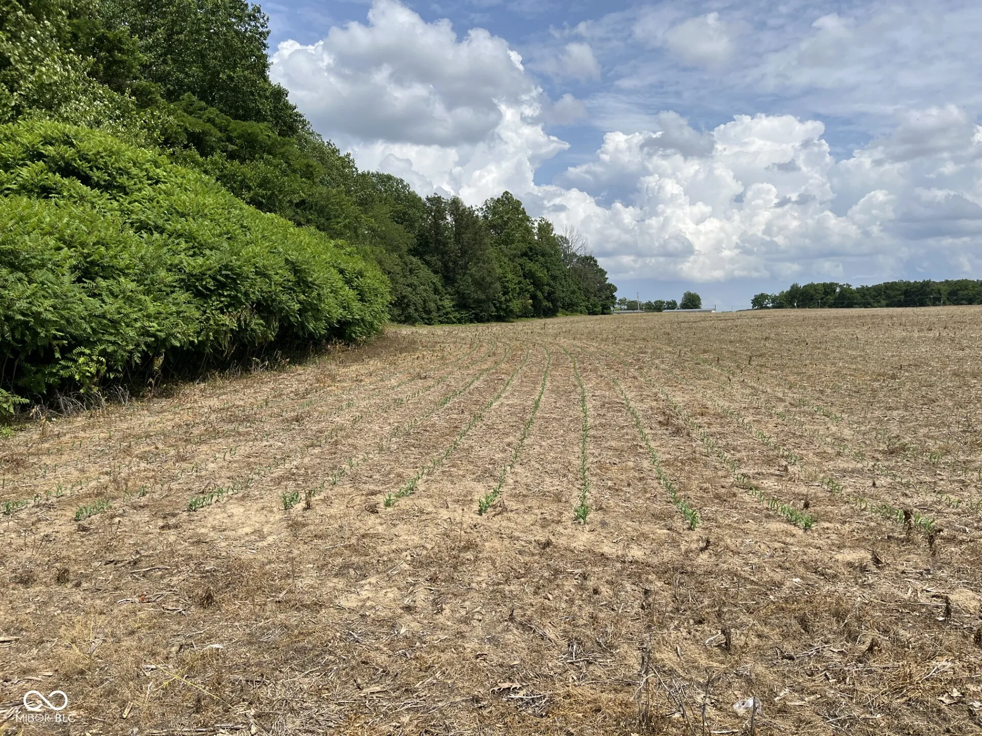 Brownstown, Indiana 47220, United States, ,Residential,Active,55897