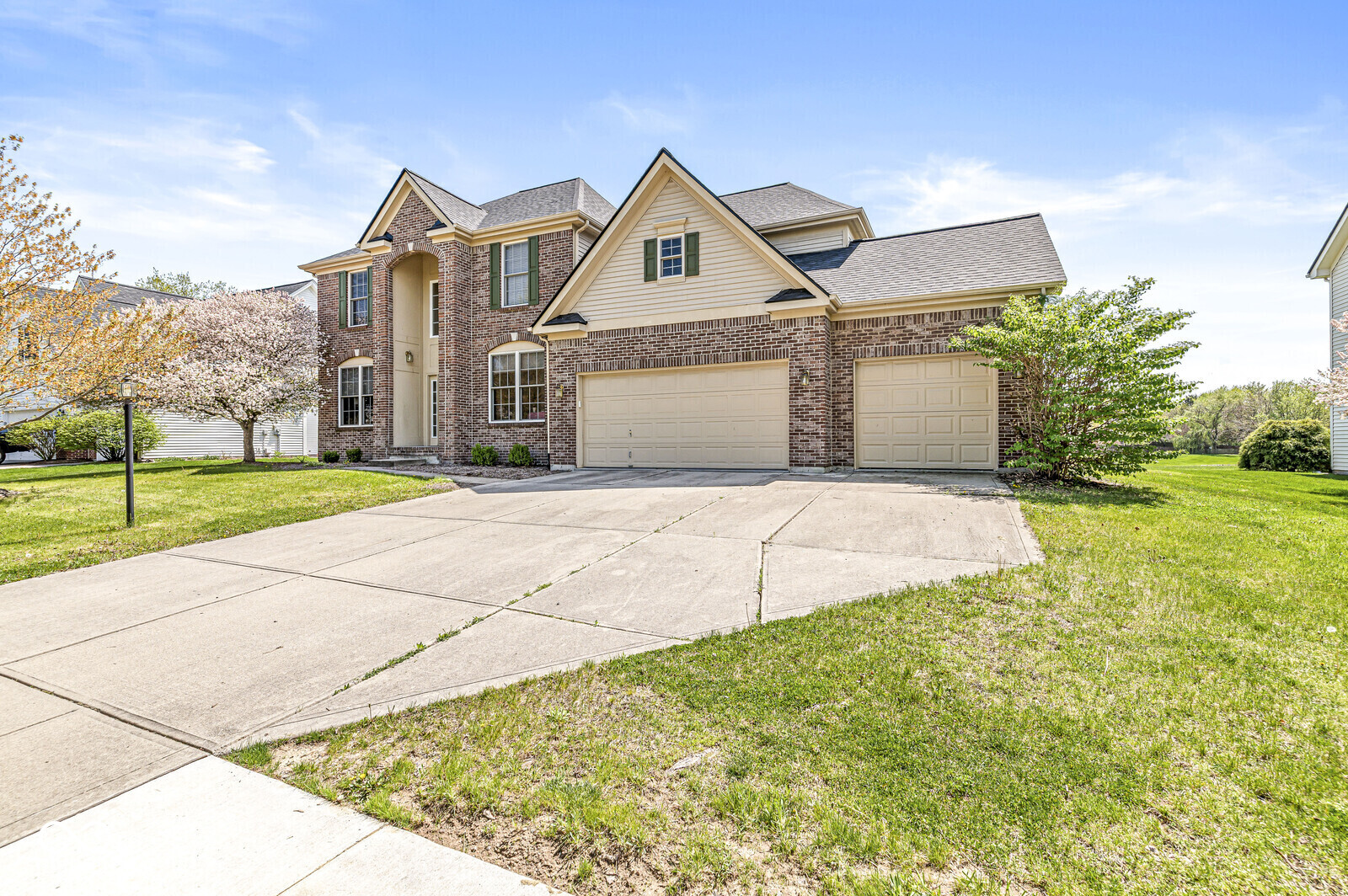 9037 Carnation Drive