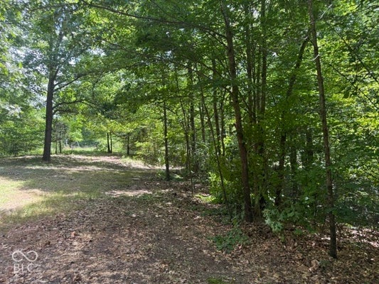 0 BUFFALO PIKE ROAD, FREETOWN, IN 47235 - Image e9d0e9bd8a35e51dbeb5a30bc951a3d5/576994476