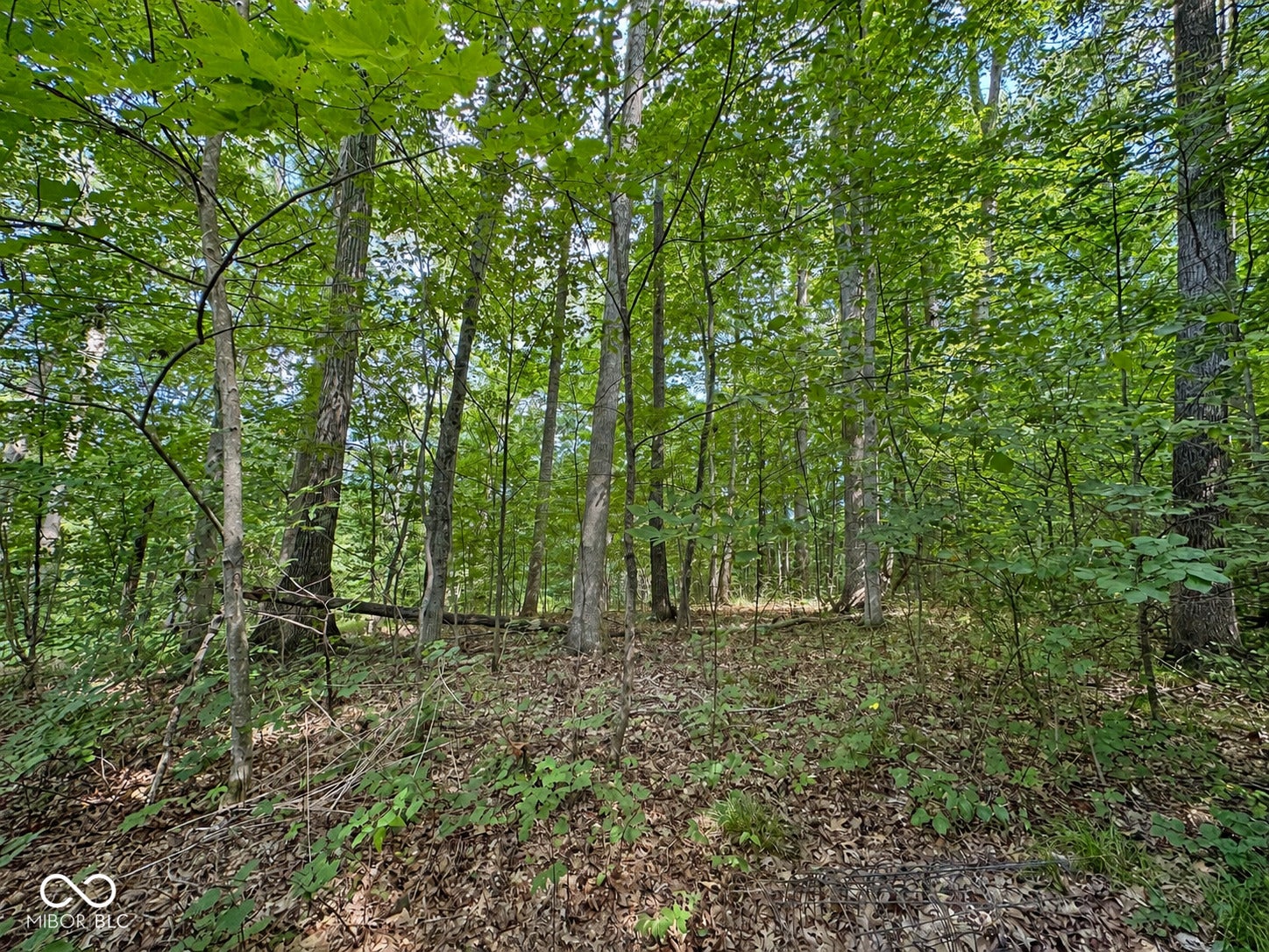 8045 N Ritter Road