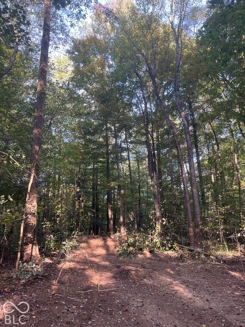 Photo for Tract 9 Sunnyside Road