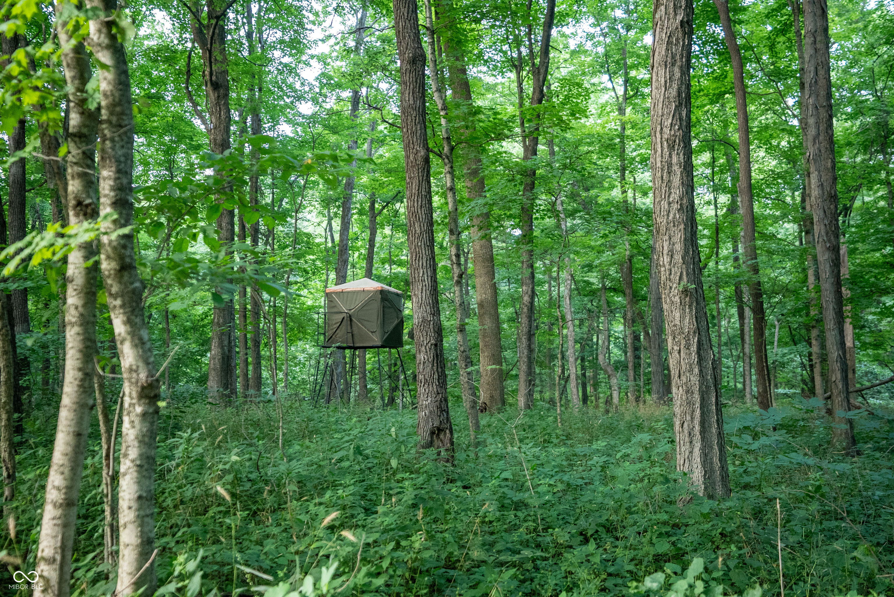 4259 Parkeville Road