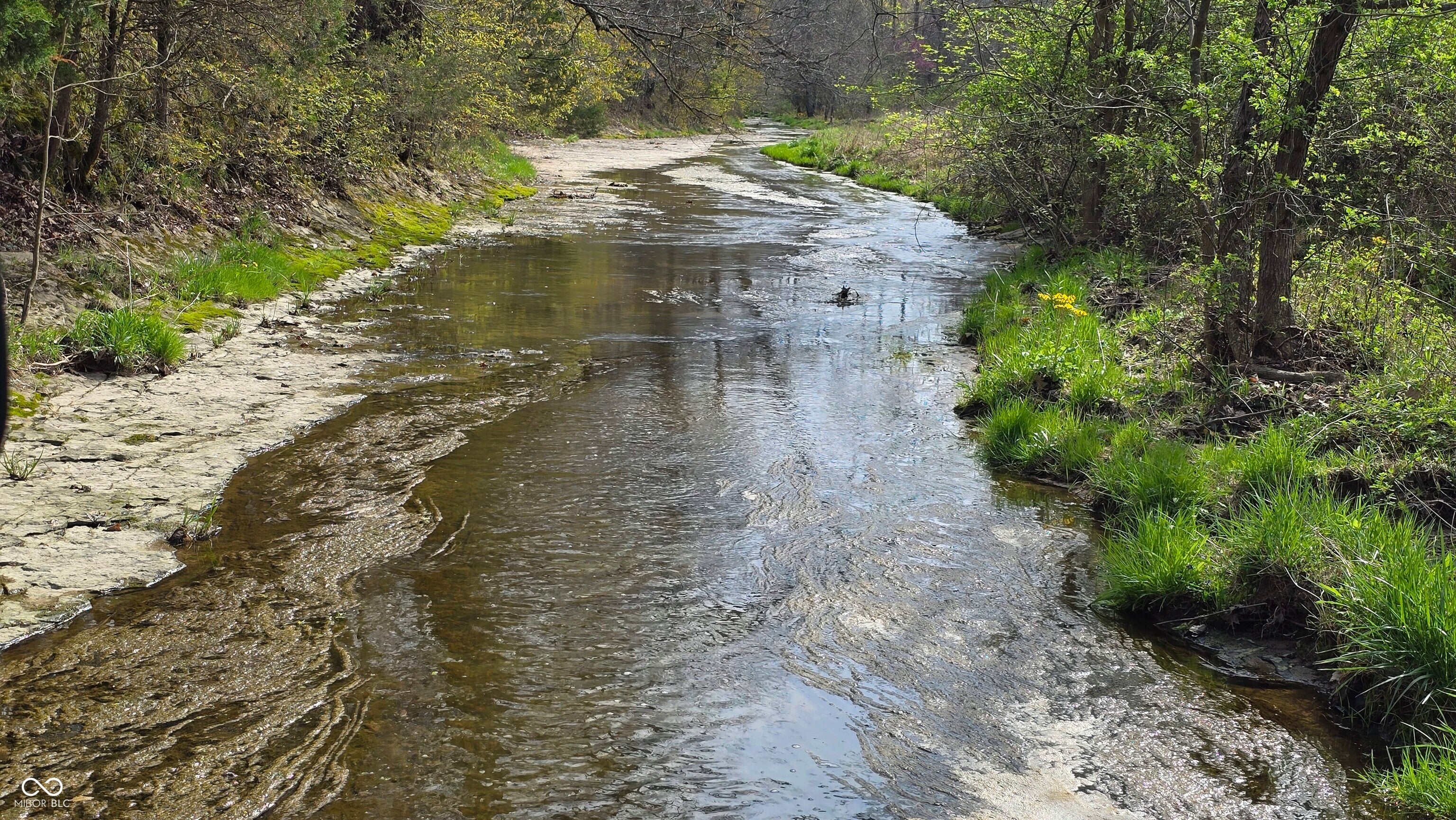 19205 Michigan Road