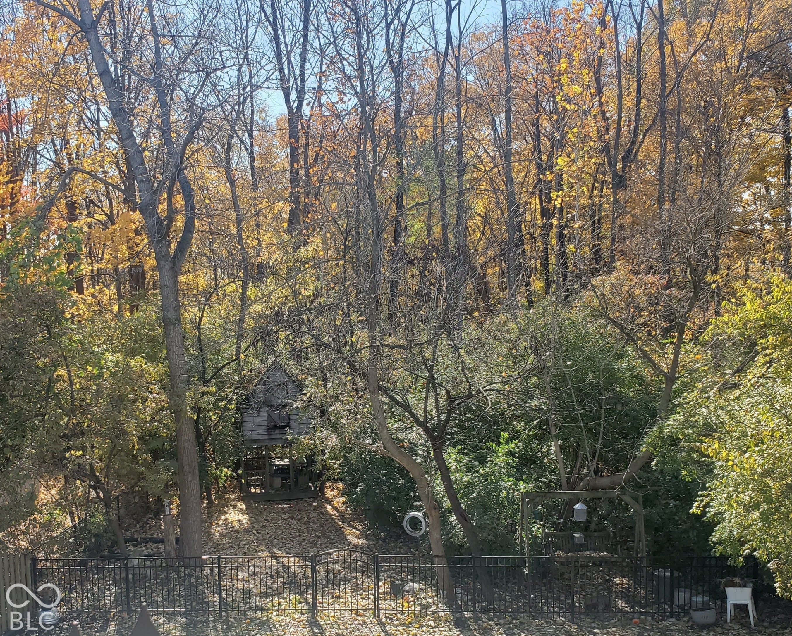 5619 Forest Rise Court