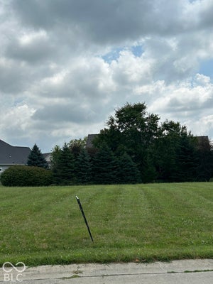 1111 RAINTREE DR, GREENFIELD, IN 46140 - Image f4f2cd8f6bbea6192e375725200aa059/457417475