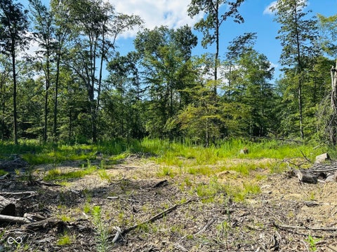 Photo for Tract A W Private Rd 775 S