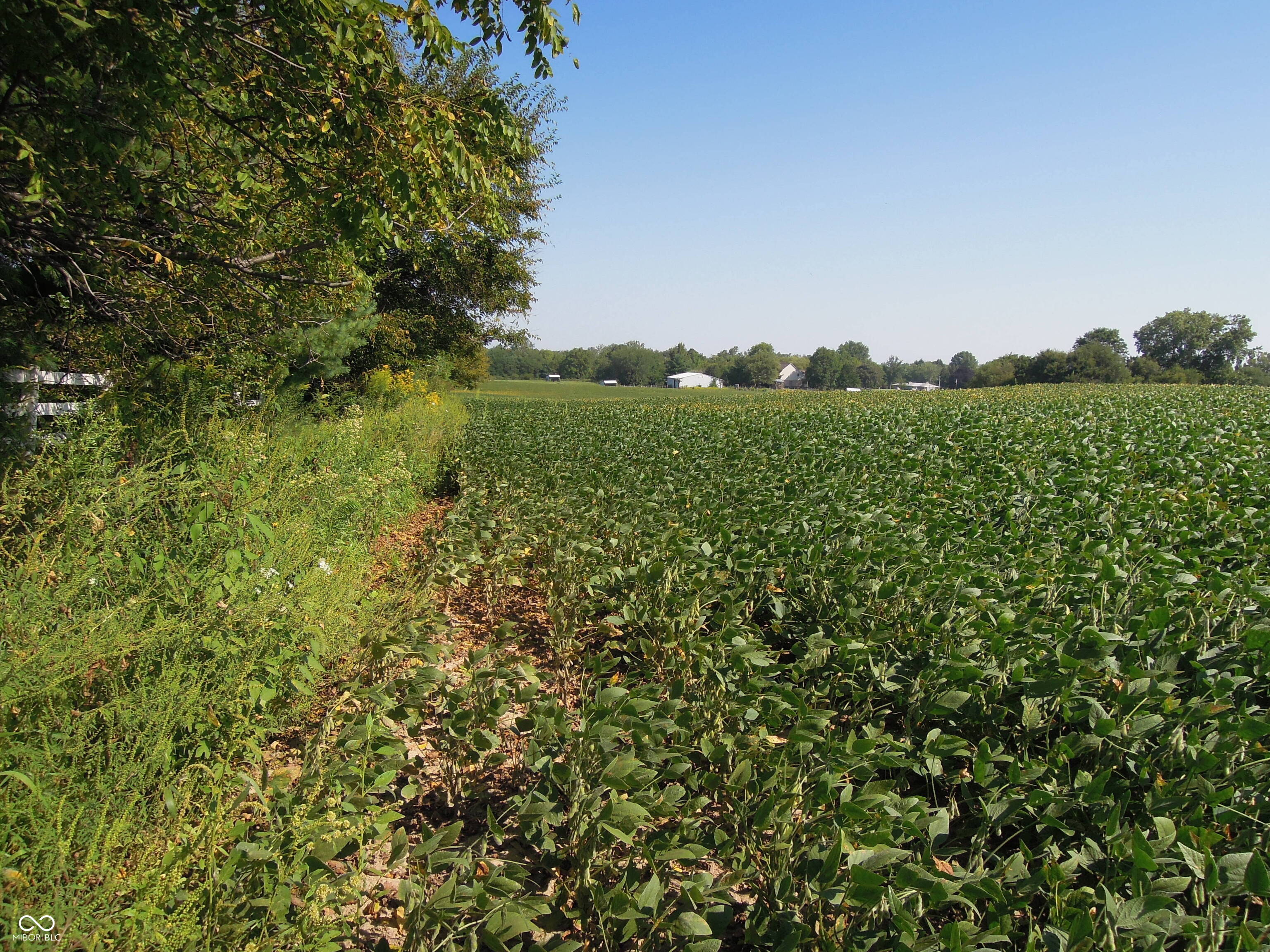 0 State Road 39 Road