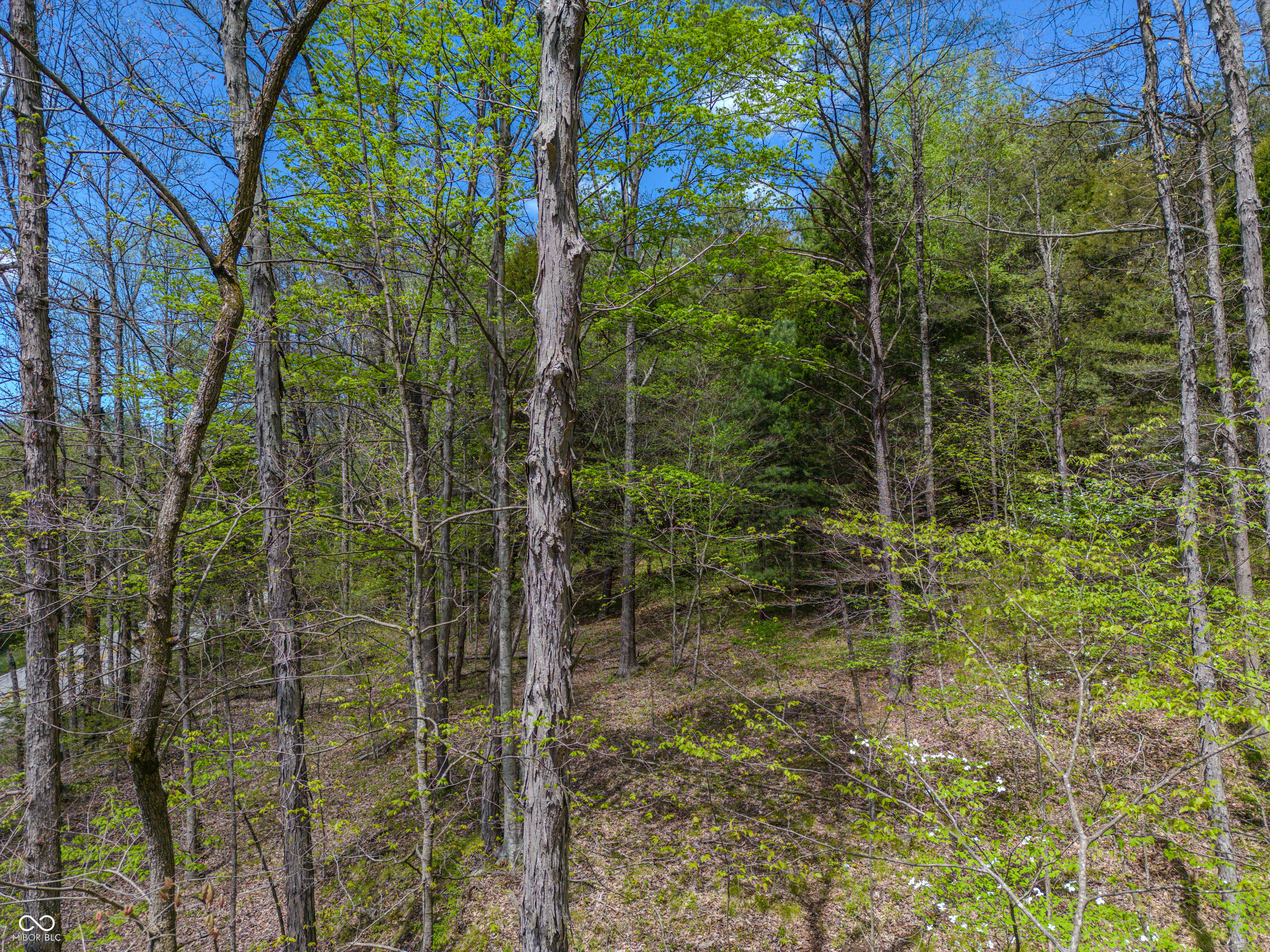 0 State Rd. 135 S
