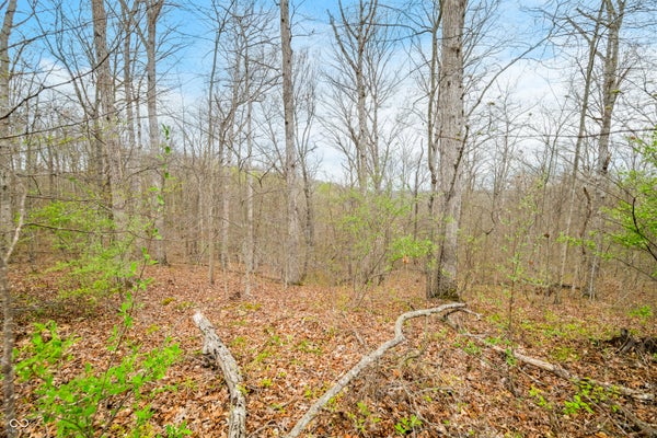 4100 BLOCK OF LOWER SCHOONER ROAD, NASHVILLE, IN 47448 - Image f85a33caa8cfe58b03ece59fbd1df7a5/540015269
