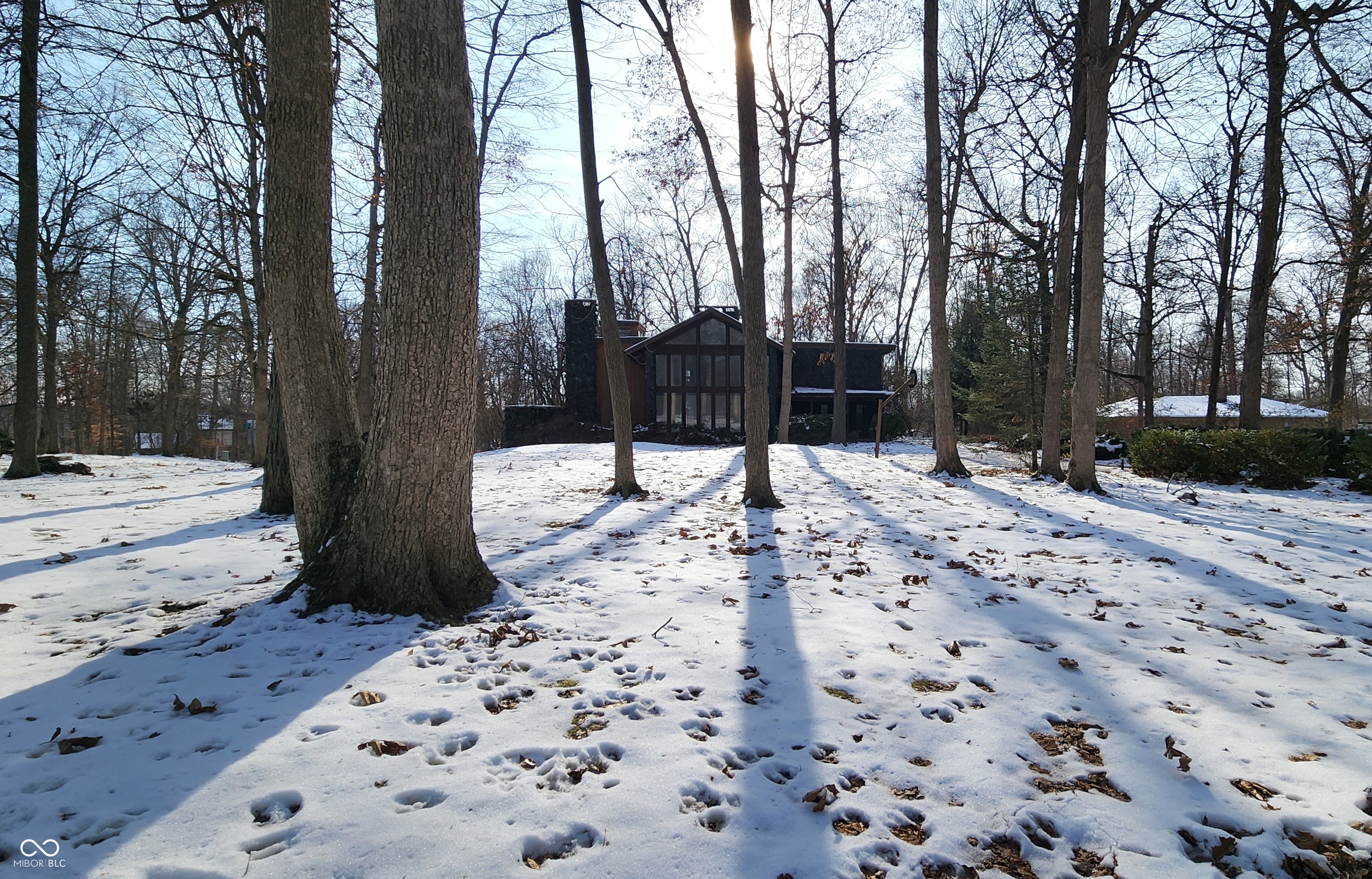 1677 W Forest Road