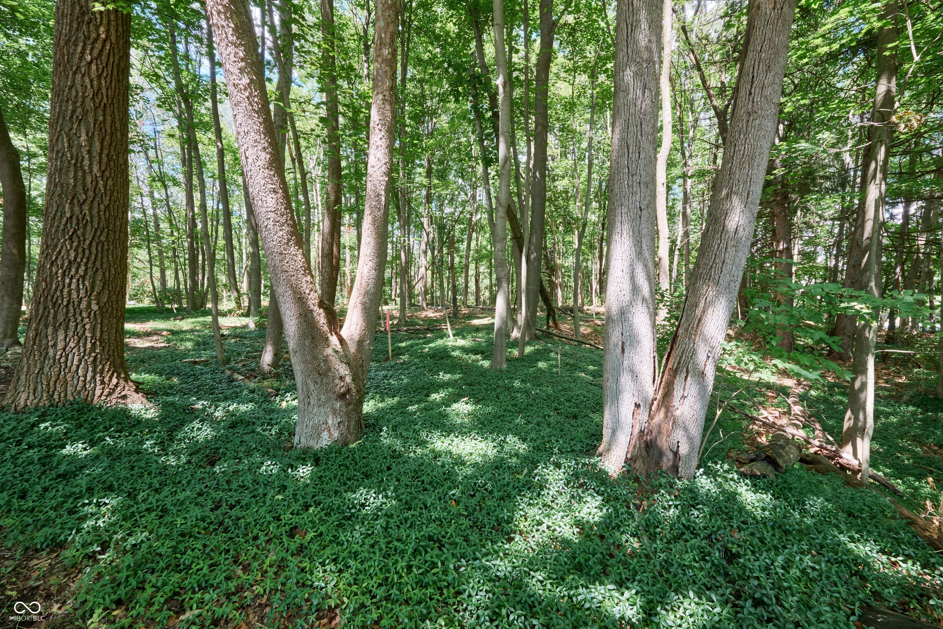 7117 N Meridian Street