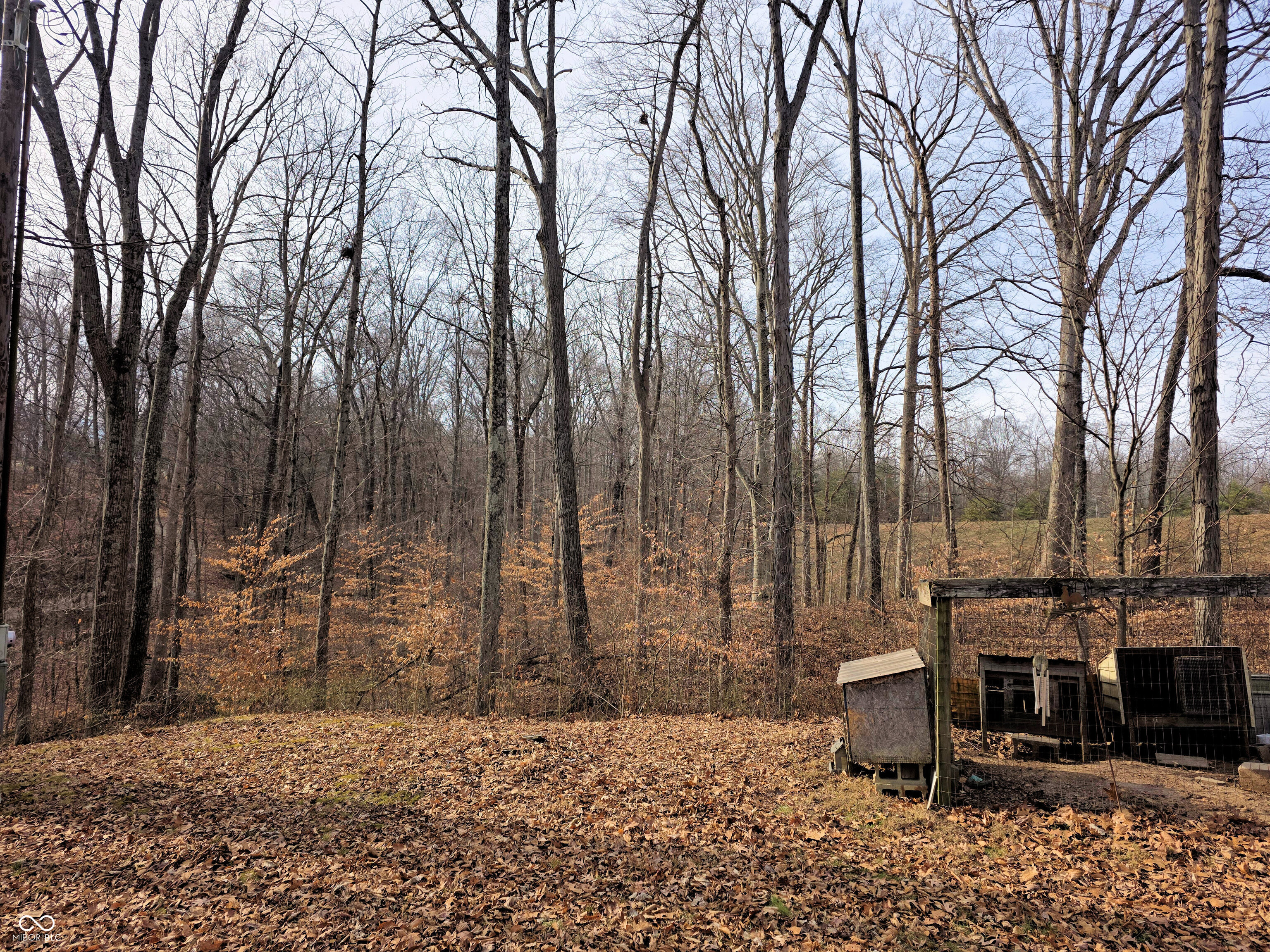 8977 Old Haggard Road