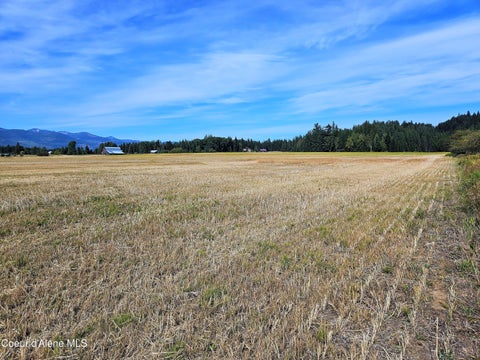 Vacant Land For Sale - NKA French<br/> Sandpoint, ID 83864