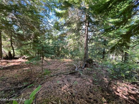 Vacant Land For Sale - 520 Alpine<br/> Fernwood, ID 83830