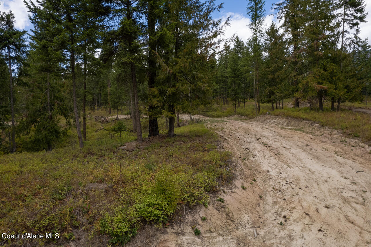 NNA New Chisholm Way, Bonners Ferry, Idaho image 10