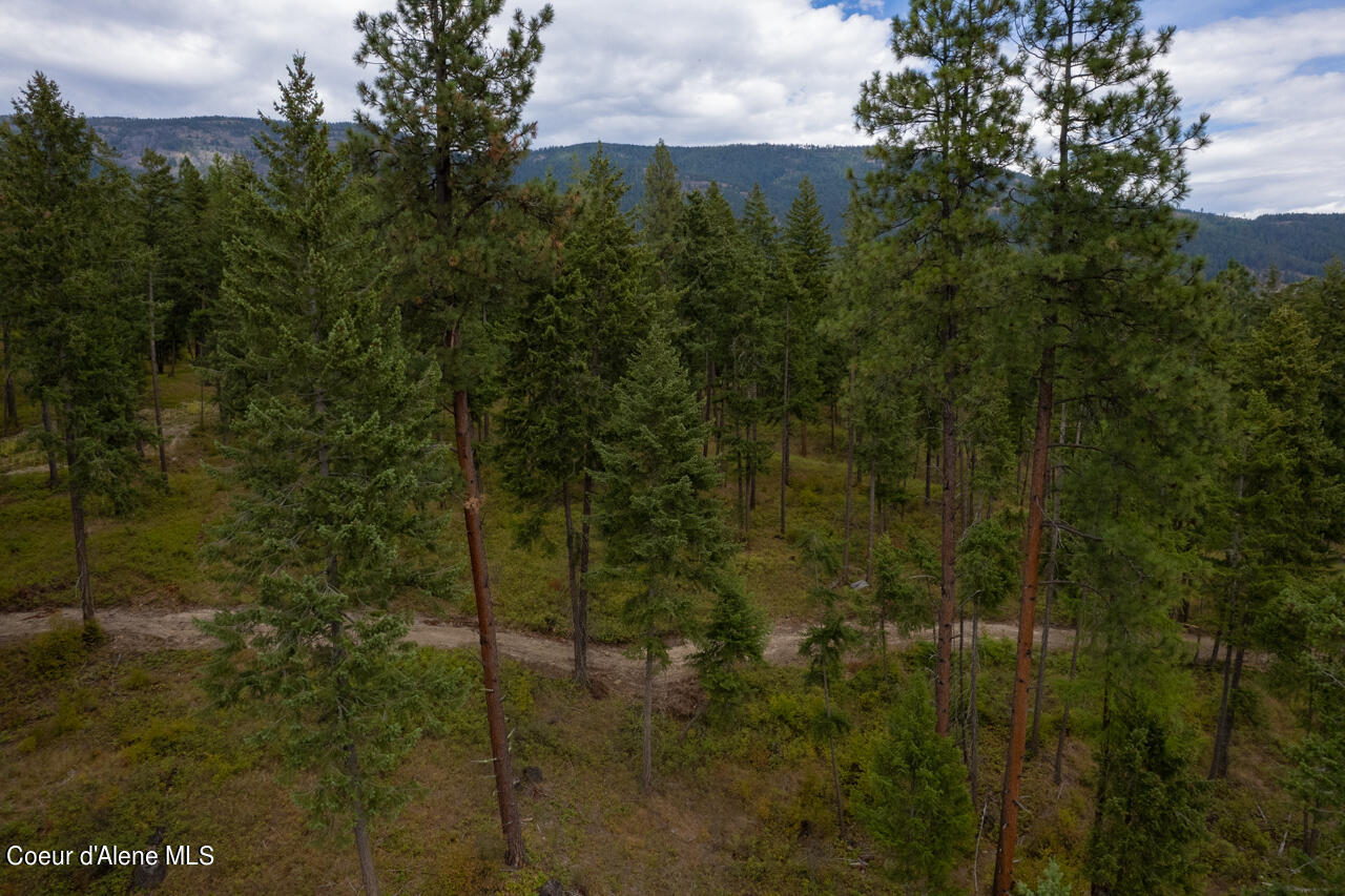 NNA New Chisholm Way, Bonners Ferry, Idaho image 9