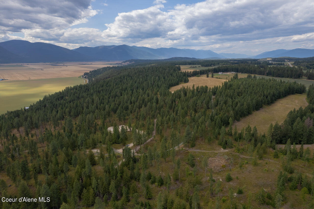 NNA New Chisholm Way, Bonners Ferry, Idaho image 19