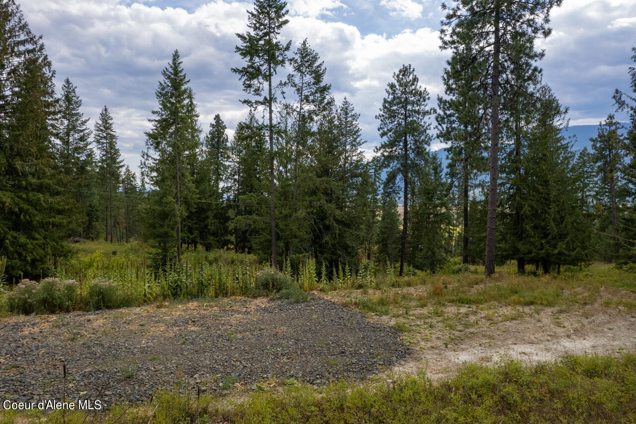 NNA New Chisholm Way, Bonners Ferry, Idaho image 13