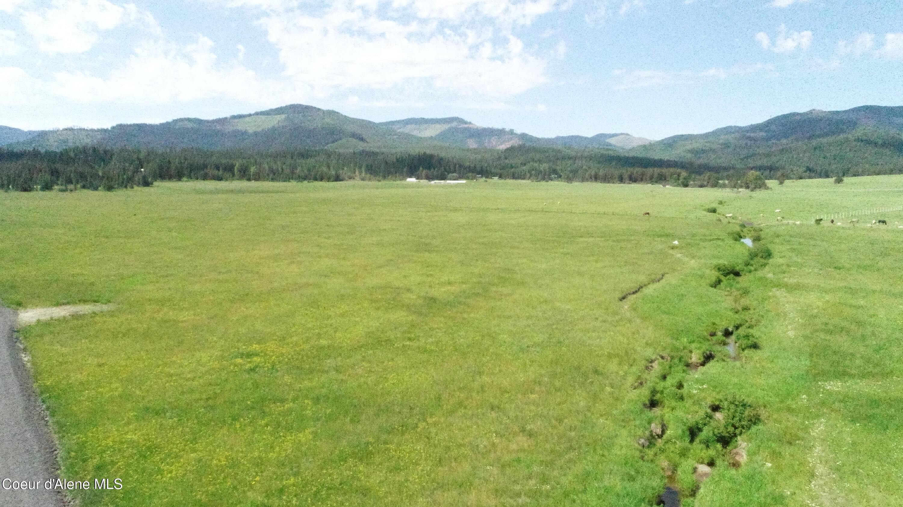 Parcel 9 Green Valley Rd, Fernwood, Idaho image 5