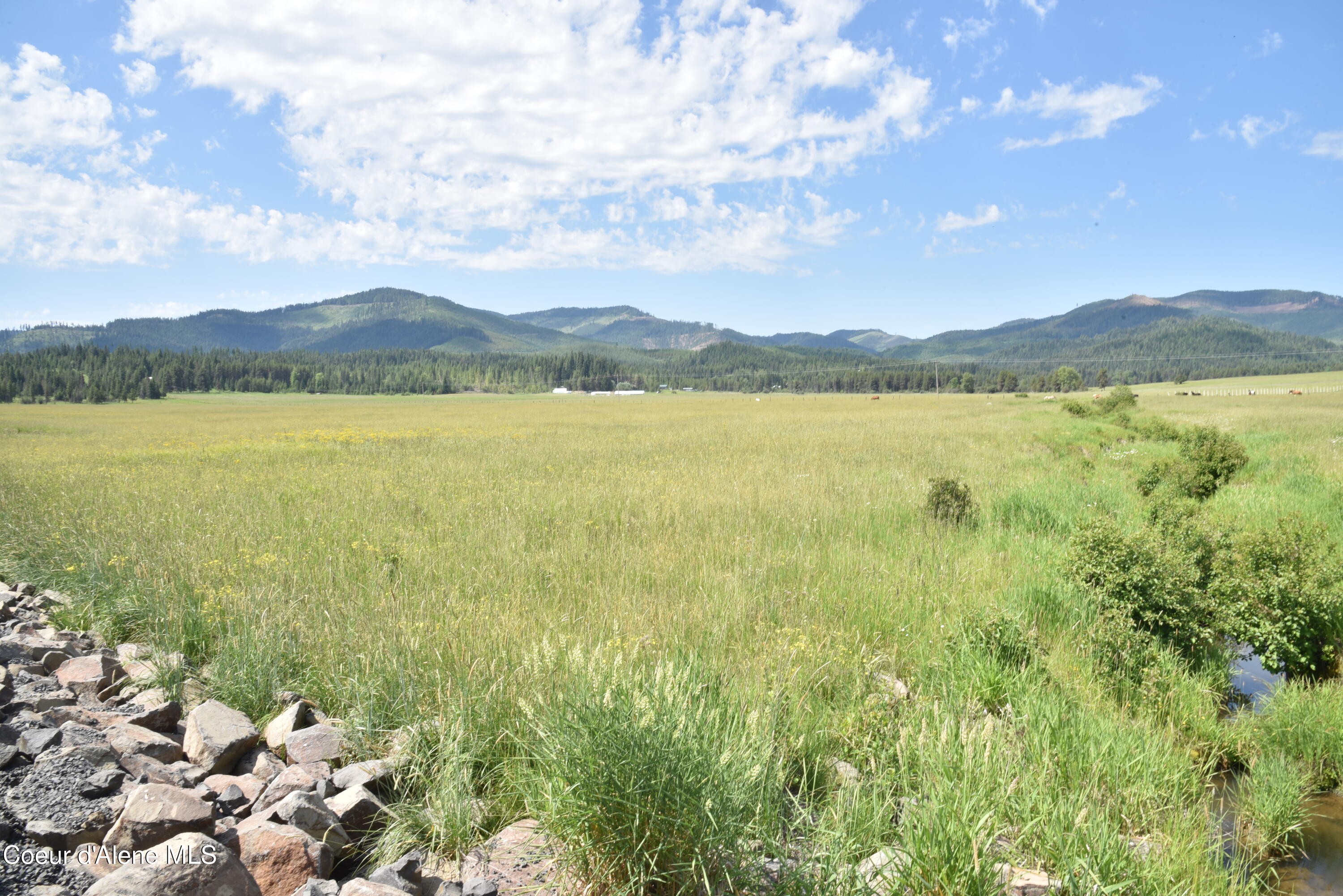 Parcel 9 Green Valley Rd, Fernwood, Idaho image 9