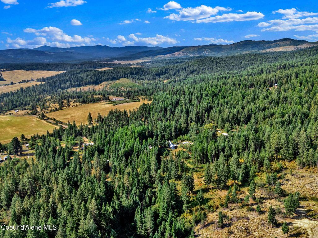 Photo of 1015 N Fork Coon Creek Creek, St. Maries, ID 83861 (MLS # 25-10305)
