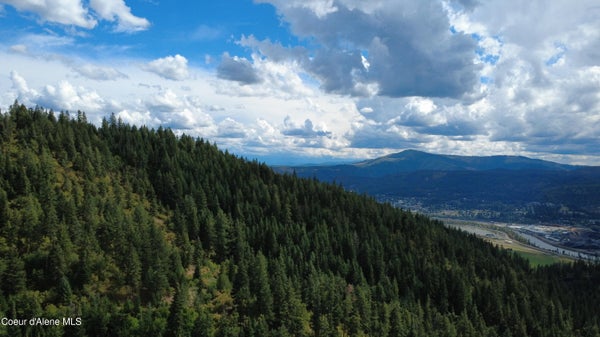 RIDGEVIEW DR, SAINT MARIES, ID 83861 - Image 00a076e294b780e21e0efa827702afa0/1659986532