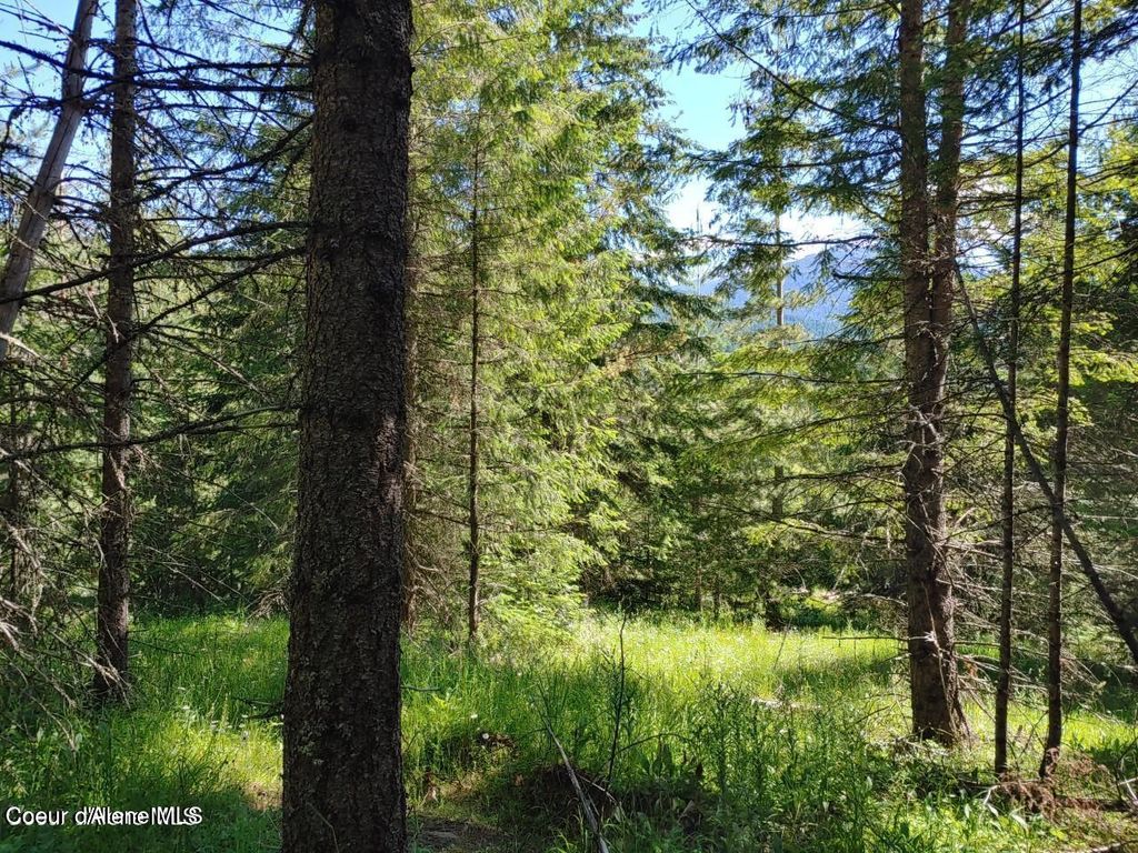 Photo of NKA Railroad Grade, St. Maries, ID 83861 (MLS # 26-3046)