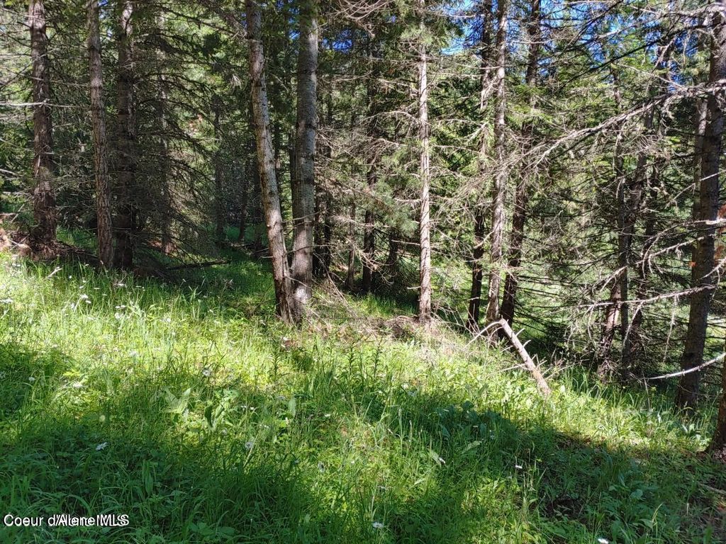 Photo of NKA Railroad Grade, St. Maries, ID 83861 (MLS # 26-3046)