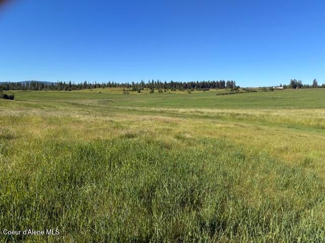 Photo of Van Dusen, Harrison, ID 83833 (MLS # 26-6068)