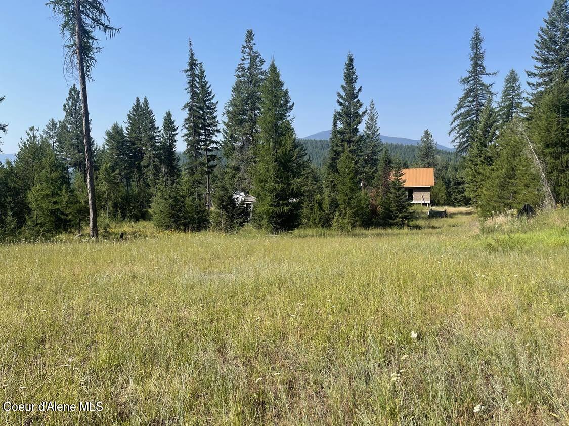 359 Curley Creek, Moyie Springs, Idaho image 4