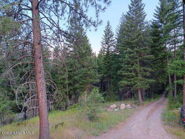 359 Curley Creek, Moyie Springs, Idaho image 5