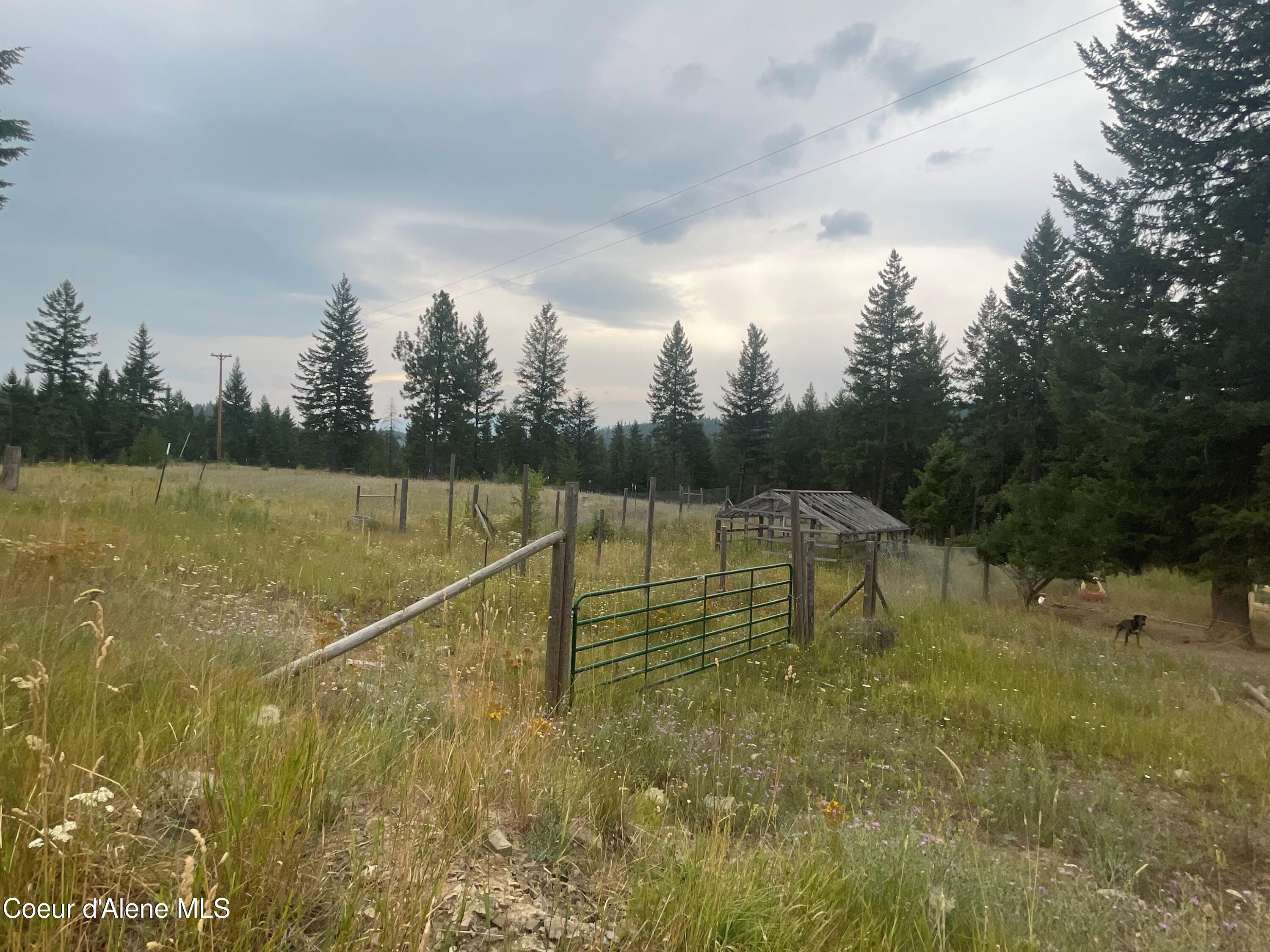 359 Curley Creek, Moyie Springs, Idaho image 49