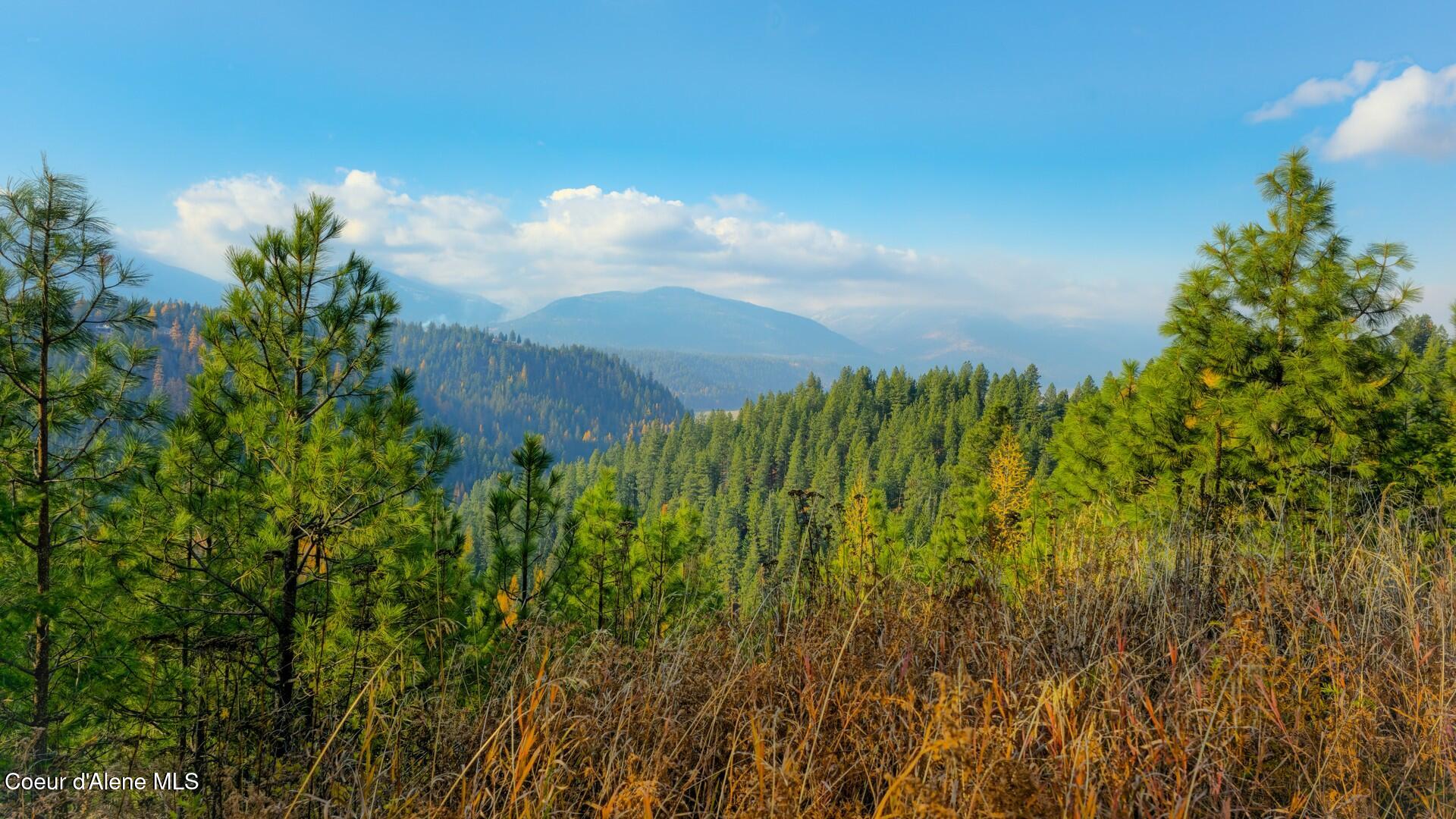 NNA Turtle Court, Bonners Ferry, Idaho image 7