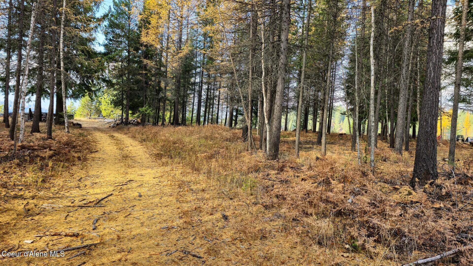 NNA Turtle Court, Bonners Ferry, Idaho image 12